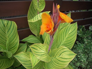 e0271409_21293970.jpg