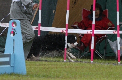 c0181414_1617667.jpg