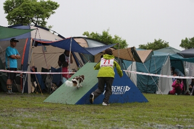 c0181414_1627652.jpg