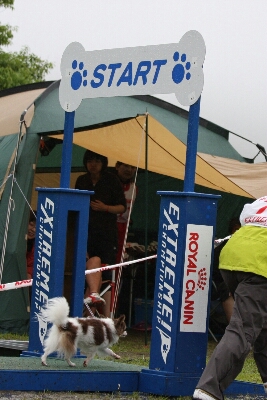 c0181414_16284791.jpg