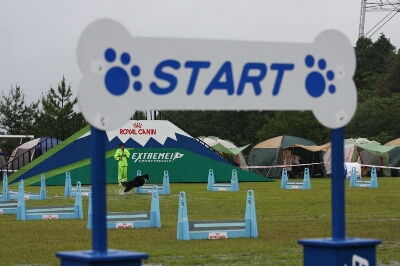 c0181414_1635178.jpg