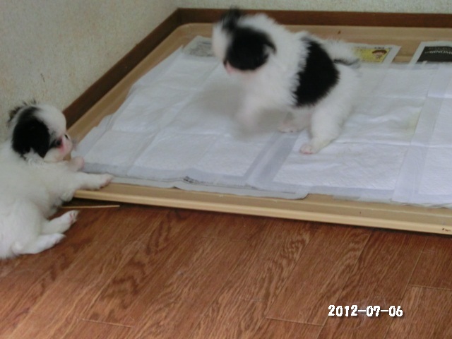 c0200916_2316077.jpg
