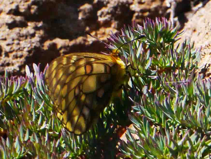 d0156718_18424243.jpg