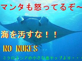 わたしもデモにつれてって!(ヤップのマンタ一同)_a0043520_6143512.jpg