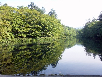 a0053420_2128448.jpg