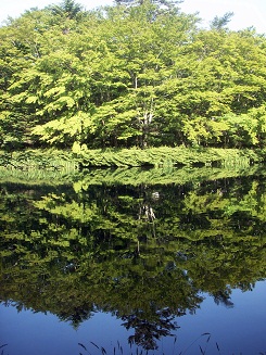 a0053420_21323516.jpg