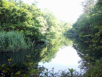a0053420_21331276.jpg