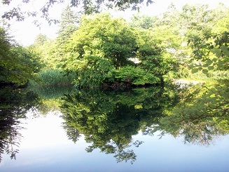 a0053420_21334030.jpg