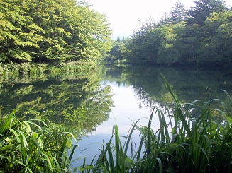 a0053420_21342392.jpg