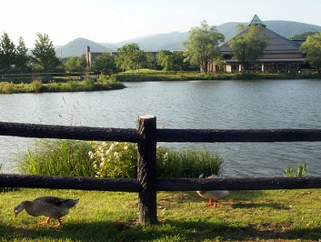 a0053420_2249551.jpg