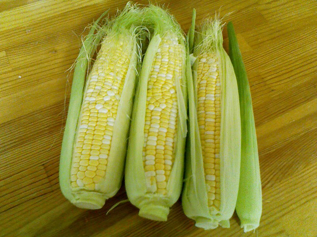 a0134323_14132334.jpg