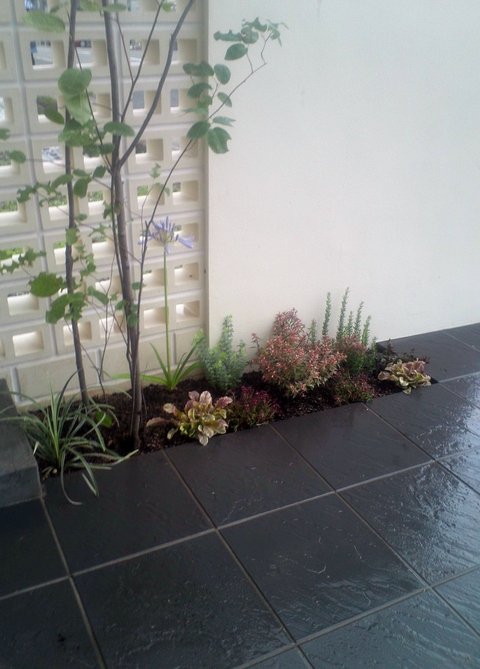 植栽のお仕事 花雑貨店 Breath Garden Kiko S Diary