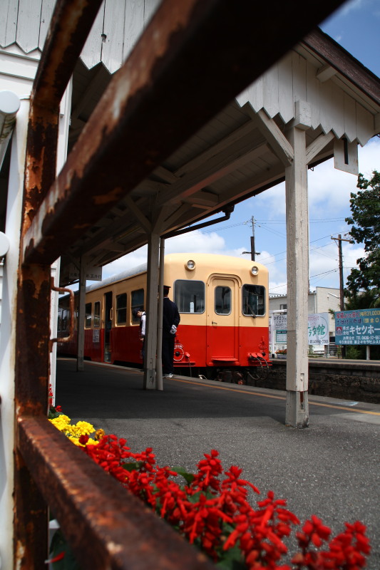 ムーミン谷へ行ってきました。（いすみ鉄道＆小湊鉄道）_c0034029_21595218.jpg