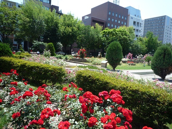 b0197031_22165951.jpg