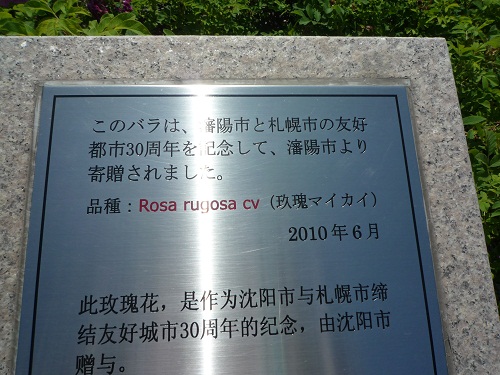 b0197031_22173940.jpg