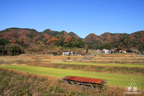 138 竜頭が滝 ~きのこまみれ~_c0211532_0265862.jpg