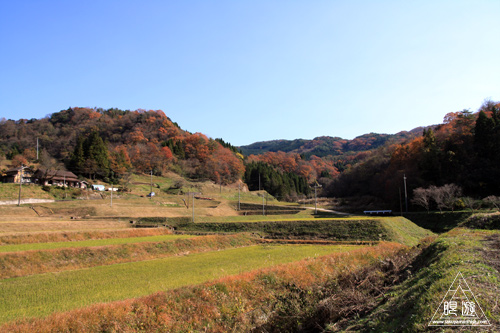 138 竜頭が滝 ~きのこまみれ~_c0211532_0281160.jpg