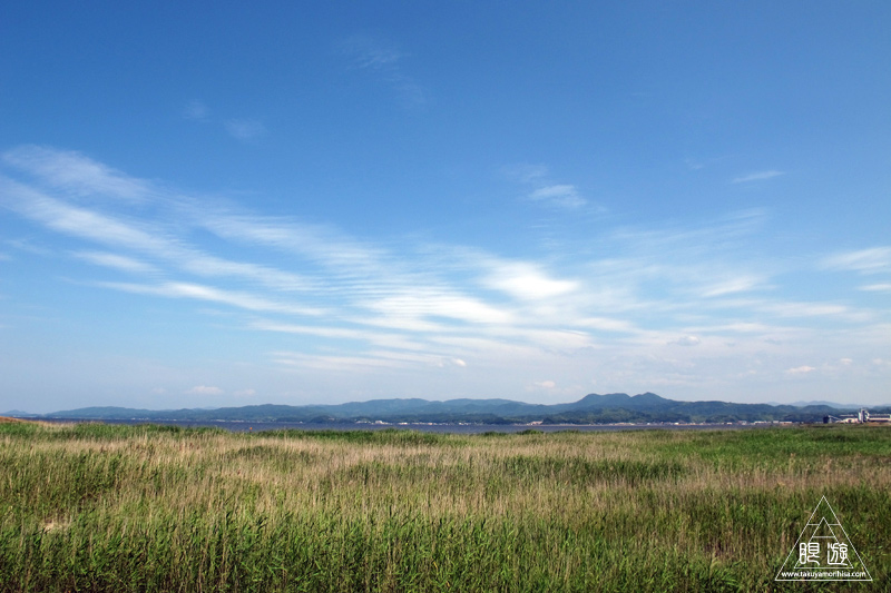 238 宍道湖西岸なぎさ公園 ～初ムナグロ～_c0211532_18215695.jpg