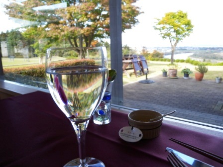 「南部のむかしきゅうり」晴れ舞台へ_b0206037_1845361.jpg