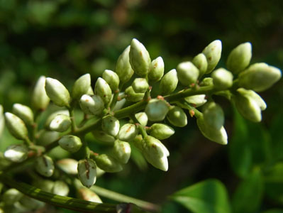 f0206939_8392610.jpg