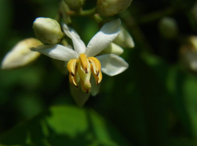 f0206939_8404838.jpg