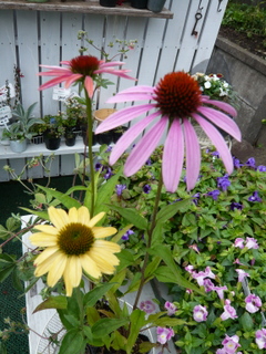 b0200240_10482436.jpg