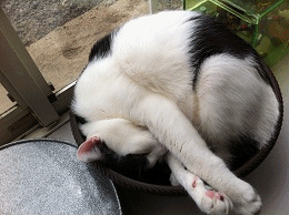 b0151748_1275248.gif