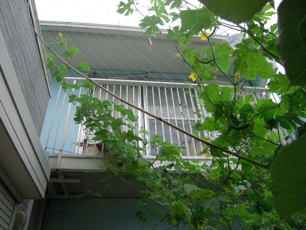 b0005652_134854.jpg