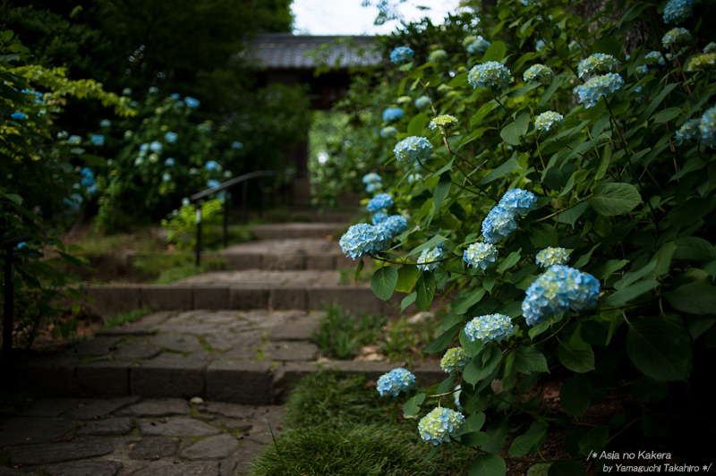 d0080957_22133190.jpg