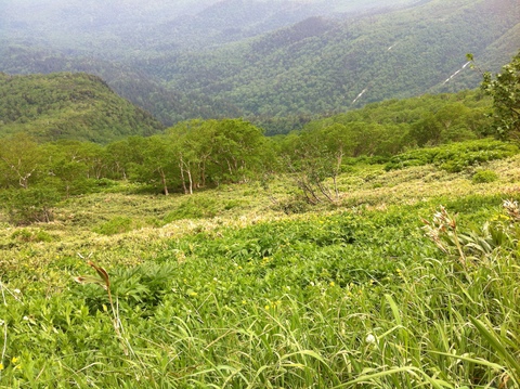 d0214465_155335100.jpg