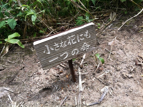 d0214465_1554338.jpg