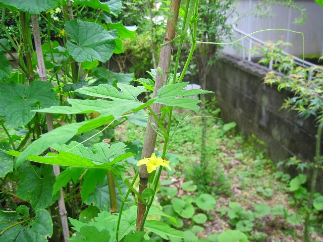 c0219866_13563473.jpg