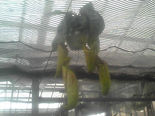 f0200477_22424370.jpg