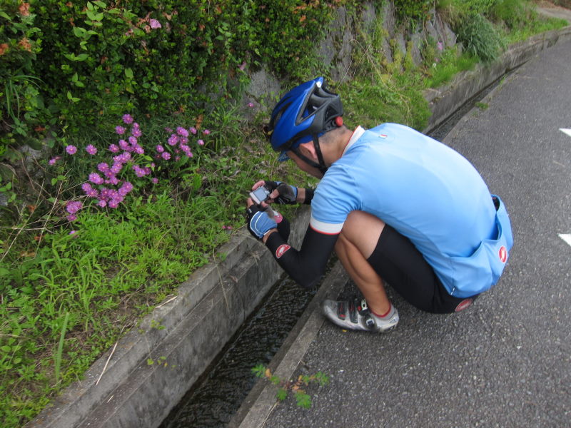 ヒルクライムのご褒美、絶景を堪能。恒例の撮影で大はしゃぎ！-激闘！感動！大野山アジサイサイクリング②_e0138081_681244.jpg