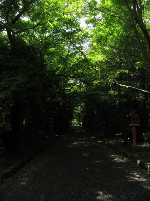 都会の雑踏から隔離された平和なオアシスでのんびり：京都・大原野-ブロンプトンで\"停まる”楽しみを満喫②_e0138081_7225616.jpg