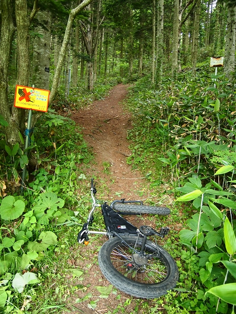 a0242984_011792.jpg