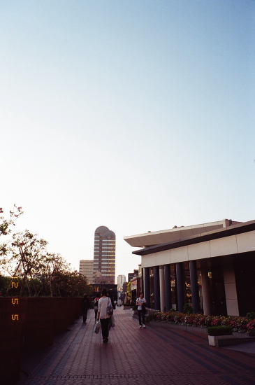 d0180285_11482823.jpg