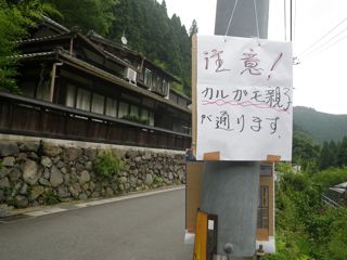 e0149587_13463144.jpg