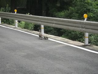 e0149587_1352953.jpg