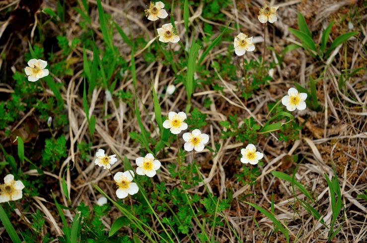 b0217090_22381181.jpg