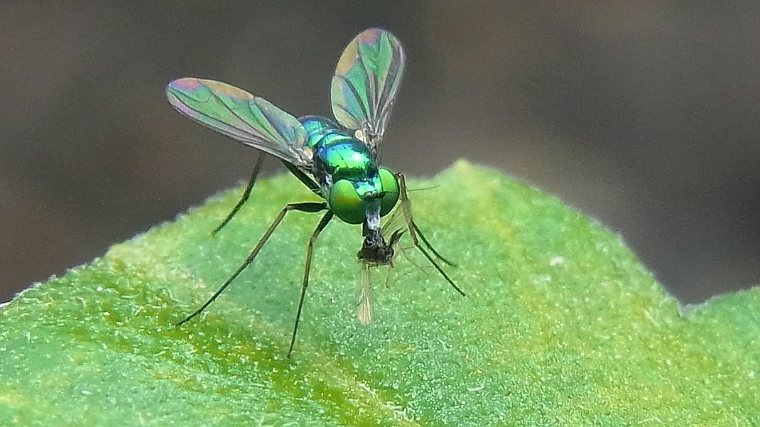 a0152692_1855378.jpg