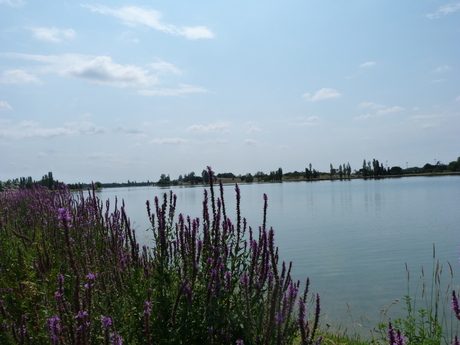 a0216392_16494750.jpg