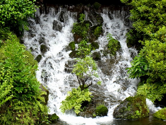 e0196993_1203950.jpg