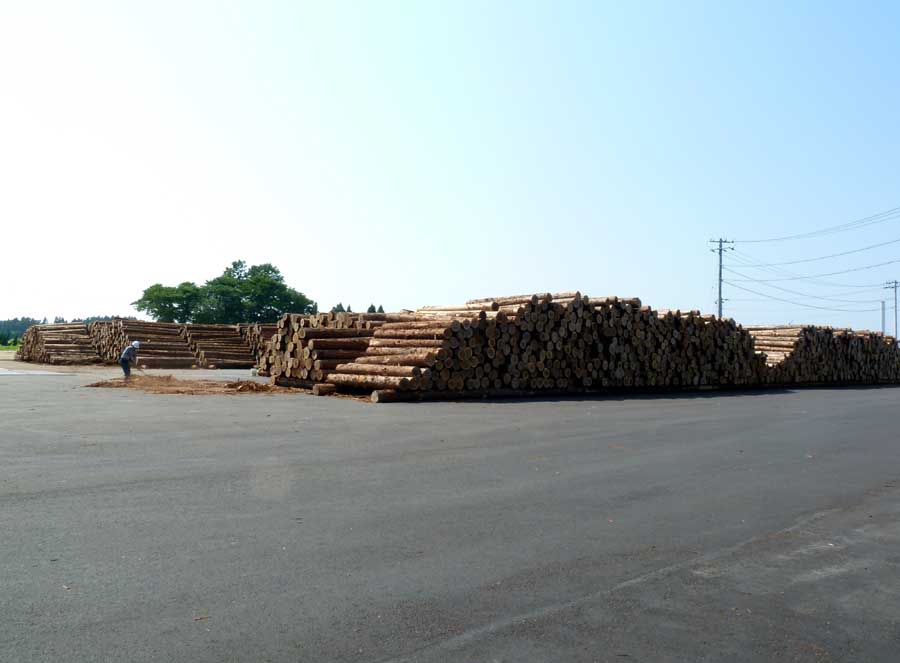 アスクウッド「秋田製材協同組合」 視察_f0150893_1423344.jpg