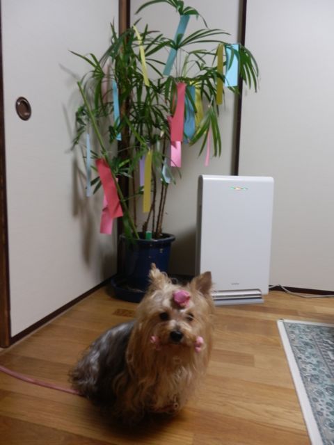 f0130894_22152328.jpg
