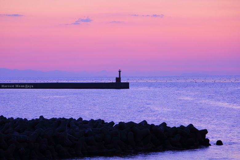 穏やかな夕暮れ_b0208495_2342865.jpg