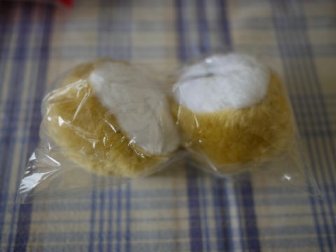 c0090198_4145361.jpg