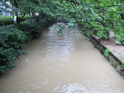 今朝は、西川緑道公園を散策する（８）_c0075701_23281885.jpg