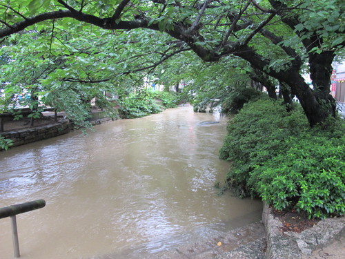 今朝は、西川緑道公園を散策する（８）_c0075701_2328283.jpg