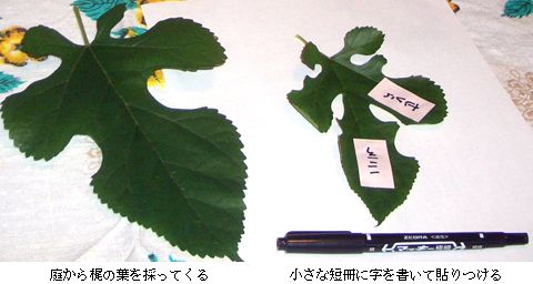 短冊　七葉 ササガワ/七夕飾り 短冊 30 穴アキ/46-6202 - 花材通販はなどん